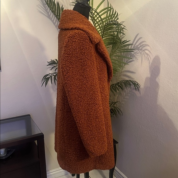 Sam Edelman Rust Teddy Jacket - Picture 4 of 12